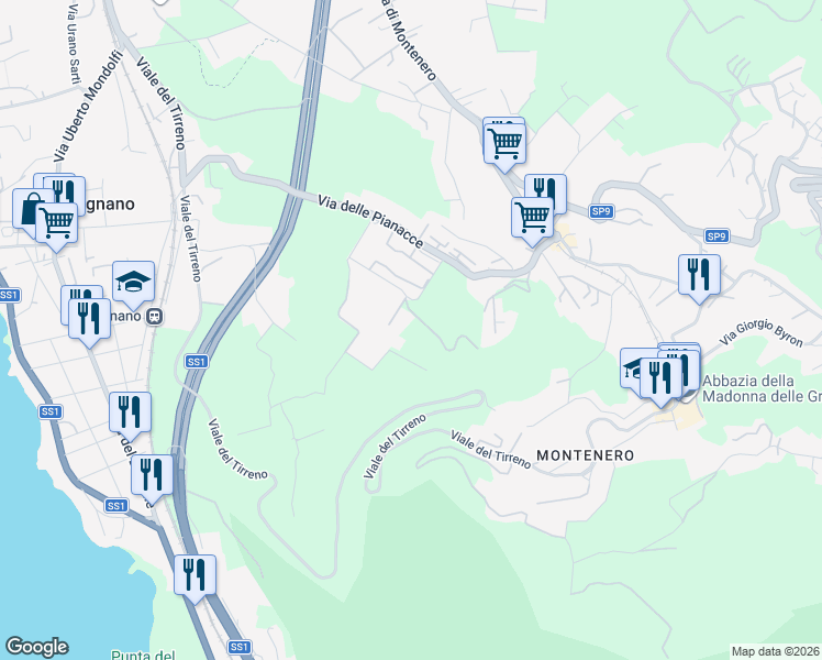 map of restaurants, bars, coffee shops, grocery stores, and more near 19 Via delle Villette in Livorno