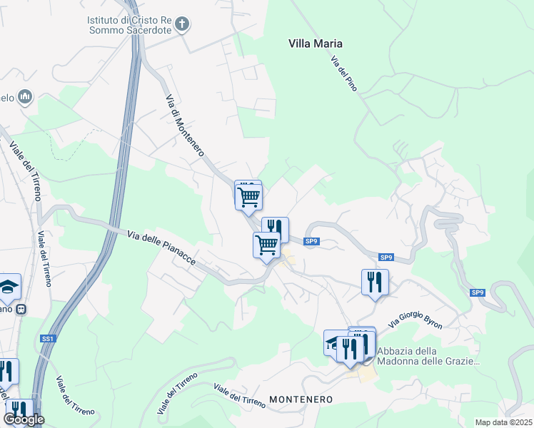 map of restaurants, bars, coffee shops, grocery stores, and more near Via del Castellaccio in Livorno