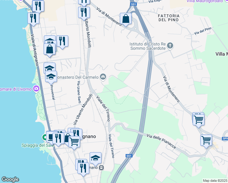 map of restaurants, bars, coffee shops, grocery stores, and more near 2 Via delle Carmelitane in Provincia di Livorno
