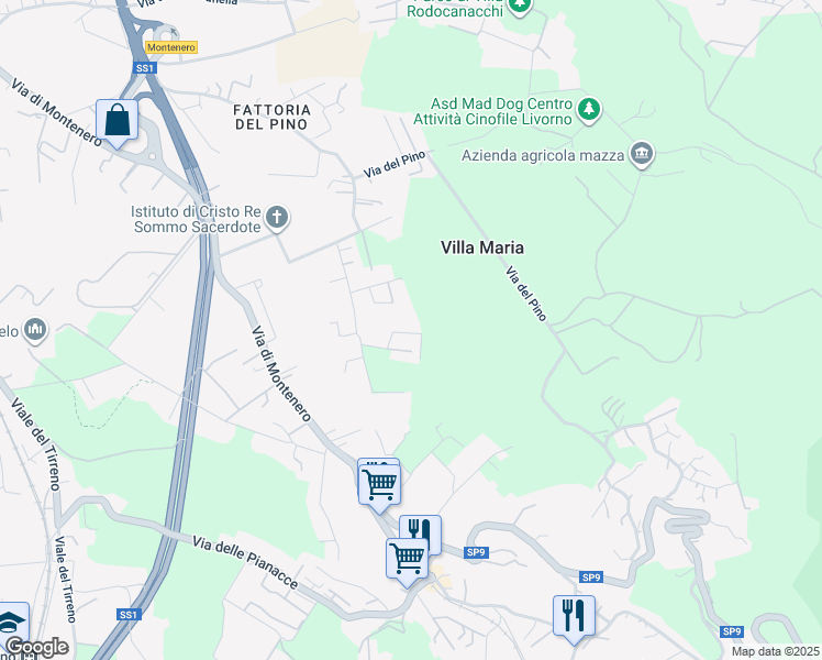map of restaurants, bars, coffee shops, grocery stores, and more near 121 Via della Prugnoliccia in Livorno