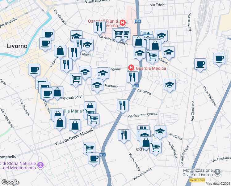 map of restaurants, bars, coffee shops, grocery stores, and more near 98 Via Pietro Coccoluto Ferrigni in Livorno