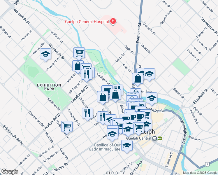 54 Cardigan Street, Guelph ON Walk Score