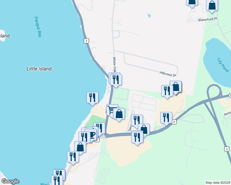 map of restaurants, bars, coffee shops, grocery stores, and more near in Laconia