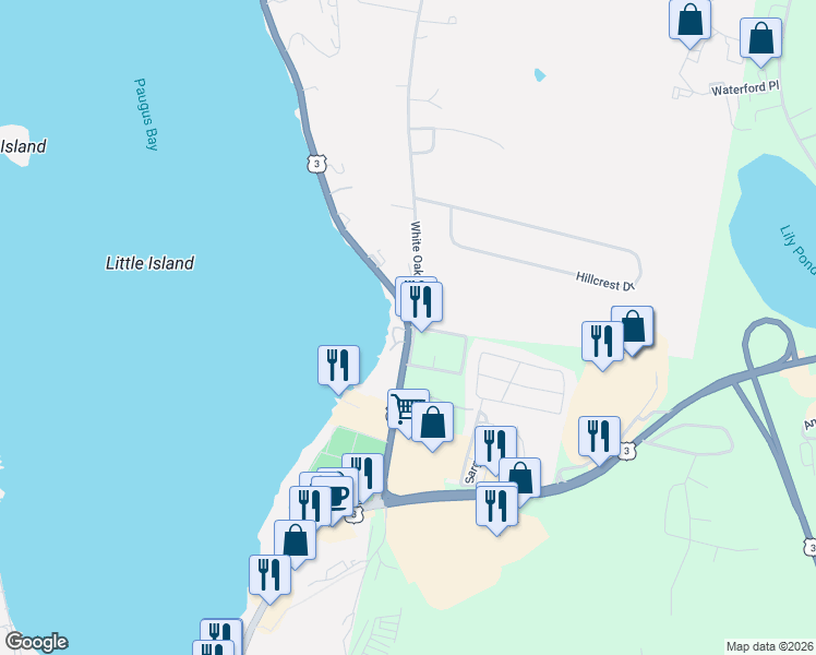 map of restaurants, bars, coffee shops, grocery stores, and more near 164 Lake Street in Laconia
