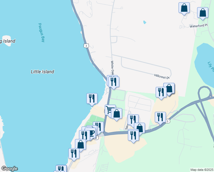 map of restaurants, bars, coffee shops, grocery stores, and more near 164 Lake Street in Laconia