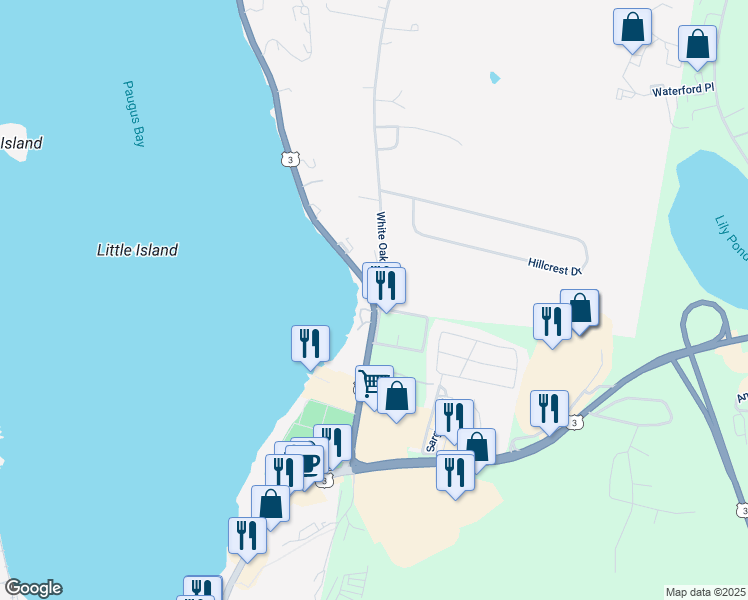 map of restaurants, bars, coffee shops, grocery stores, and more near 164 Lake Street in Laconia