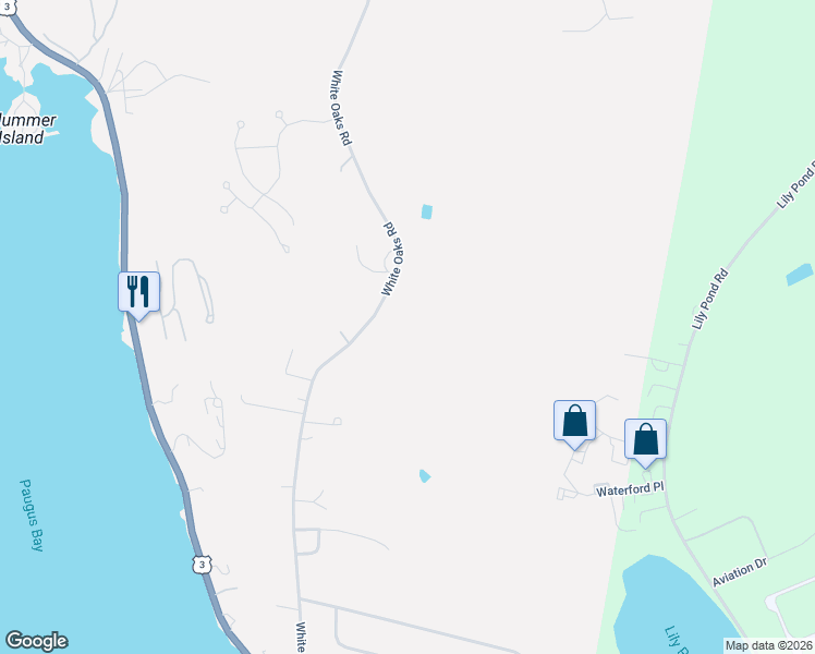 map of restaurants, bars, coffee shops, grocery stores, and more near 380 White Oaks Road in Laconia