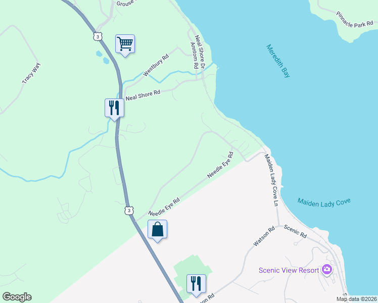 map of restaurants, bars, coffee shops, grocery stores, and more near 42 Needle Eye Road in Meredith