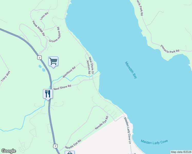 map of restaurants, bars, coffee shops, grocery stores, and more near 81 Neal Shore Road in Meredith