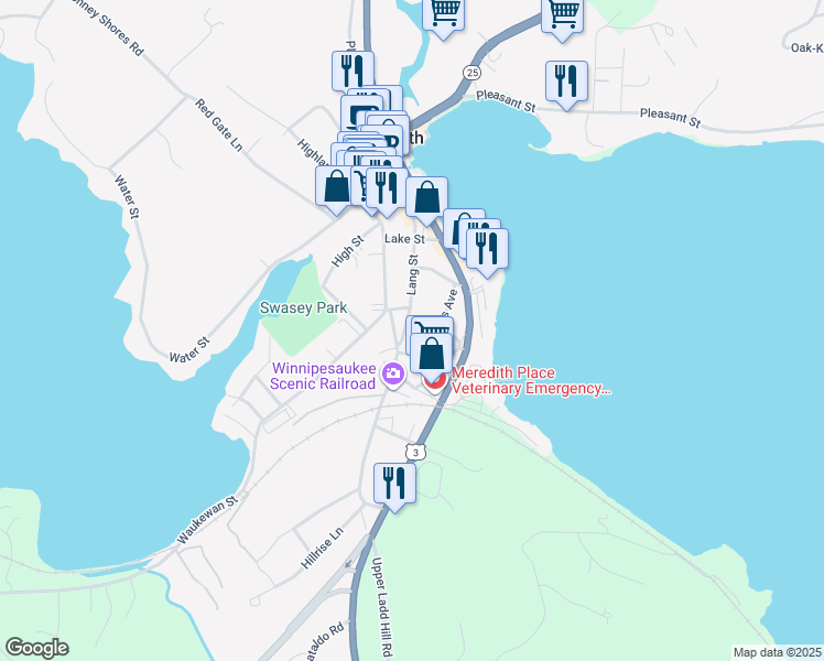 map of restaurants, bars, coffee shops, grocery stores, and more near 42 Lang Street in Meredith