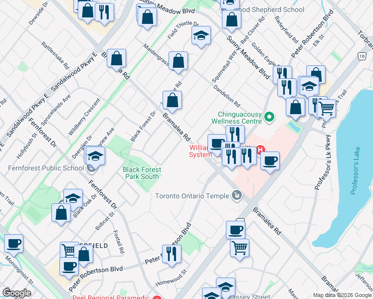 map of restaurants, bars, coffee shops, grocery stores, and more near in Brampton