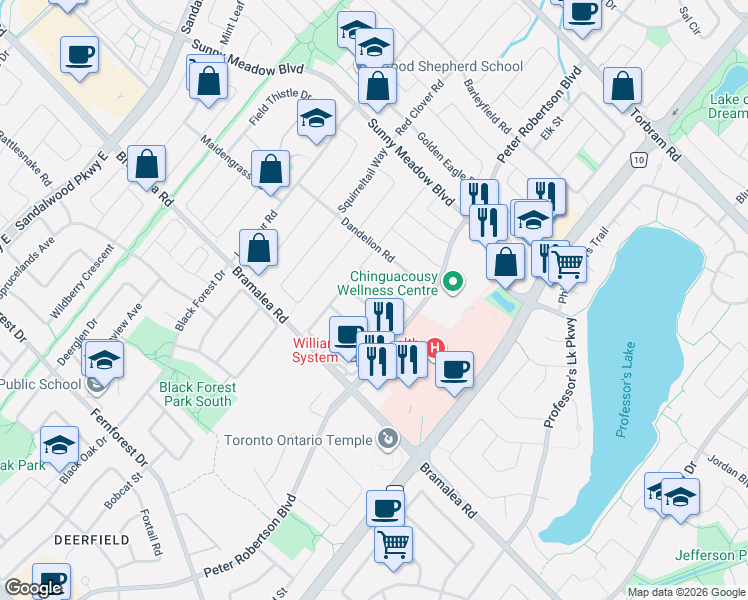 map of restaurants, bars, coffee shops, grocery stores, and more near 35 Velvet Grass Lane in Brampton