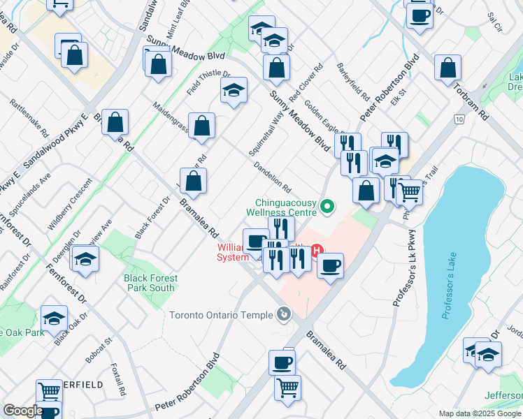 map of restaurants, bars, coffee shops, grocery stores, and more near 35 Dovesong Drive in Brampton