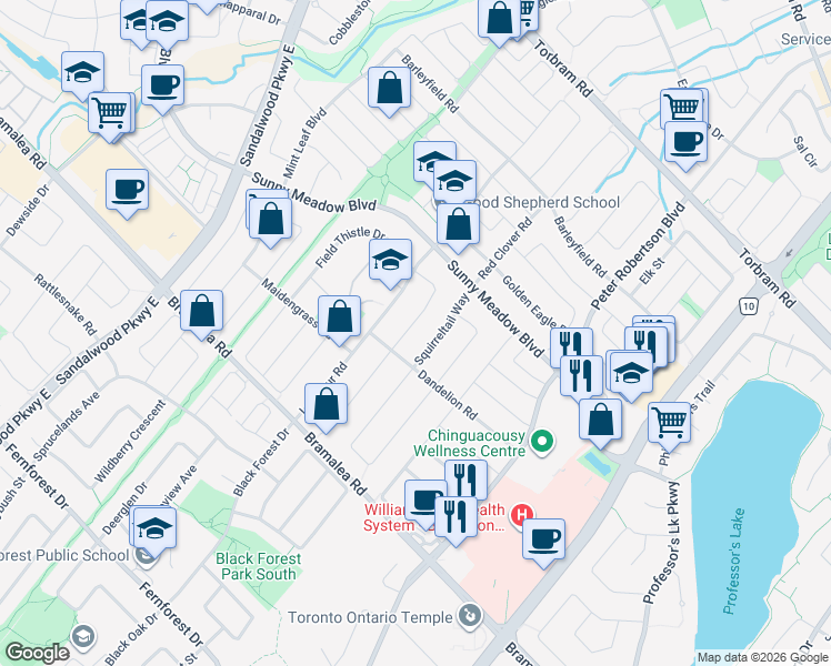 map of restaurants, bars, coffee shops, grocery stores, and more near in Brampton