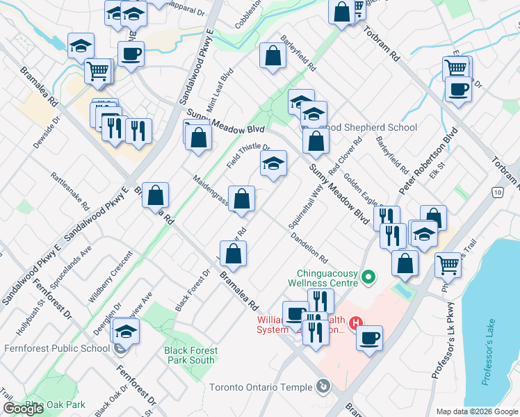 map of restaurants, bars, coffee shops, grocery stores, and more near Larkspur Road in Brampton