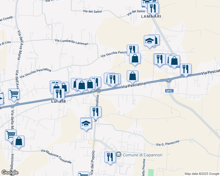 map of restaurants, bars, coffee shops, grocery stores, and more near 157 Via Pesciatina in Capannori