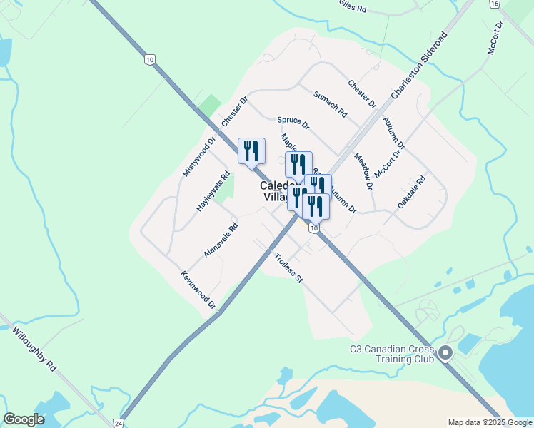 map of restaurants, bars, coffee shops, grocery stores, and more near 38 McFaul Street in Caledon Village