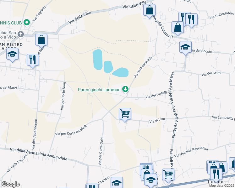 map of restaurants, bars, coffee shops, grocery stores, and more near 24 Via dei Coselli in Capannori