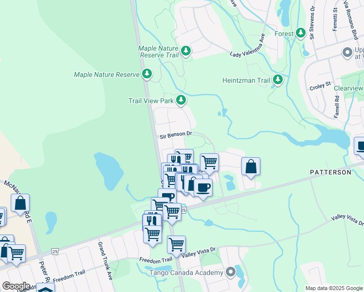 map of restaurants, bars, coffee shops, grocery stores, and more near 56 Alex Black Street in Vaughan