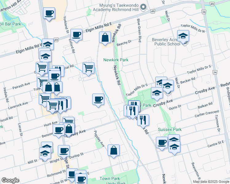 222 Newkirk Road, Richmond Hill ON Walk Score