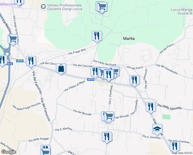 map of restaurants, bars, coffee shops, grocery stores, and more near 289 Viale Europa in Capannori