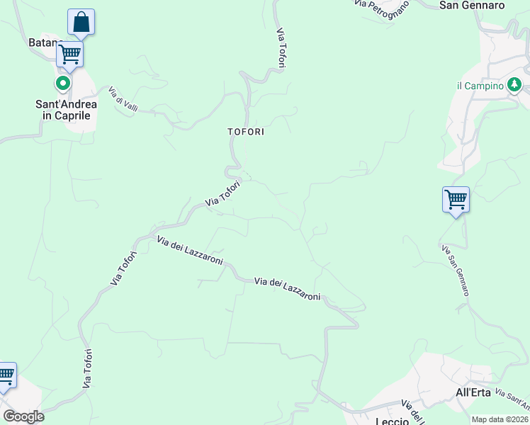 map of restaurants, bars, coffee shops, grocery stores, and more near 61 Via Tofori in Capannori