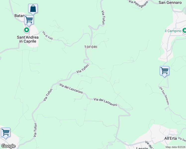 map of restaurants, bars, coffee shops, grocery stores, and more near 61 Via Tofori in Capannori