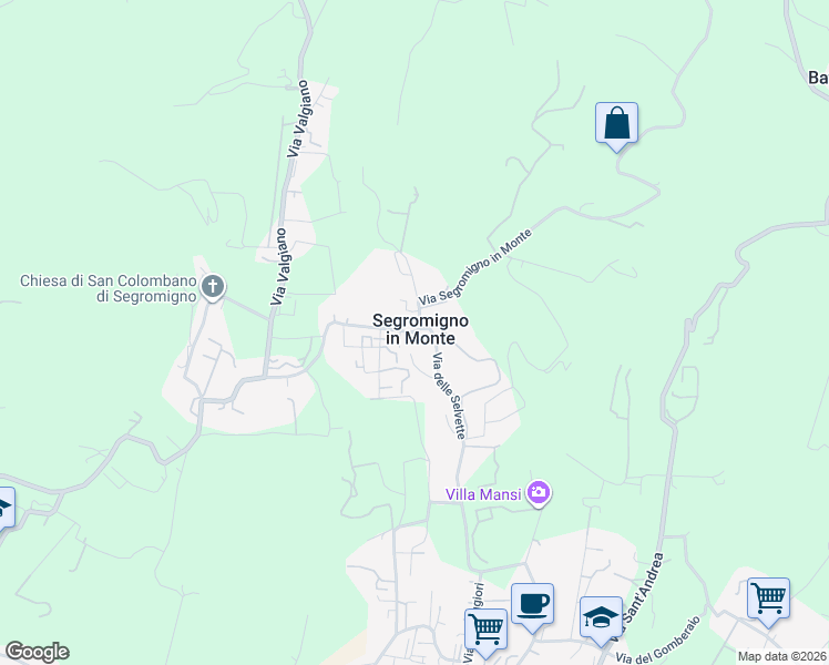 map of restaurants, bars, coffee shops, grocery stores, and more near 225 Via delle Selvette in Capannori