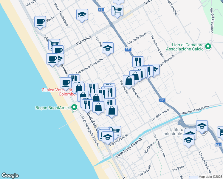 map of restaurants, bars, coffee shops, grocery stores, and more near 65 Via Don Minzoni in Camaiore
