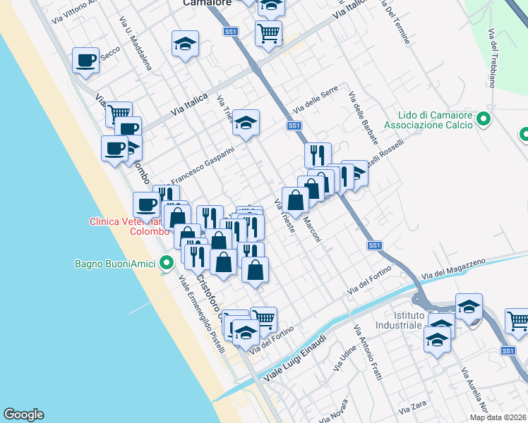 map of restaurants, bars, coffee shops, grocery stores, and more near 65 Via Don Minzoni in Camaiore