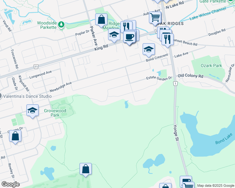 map of restaurants, bars, coffee shops, grocery stores, and more near 102 Snowy Meadow Avenue in Richmond Hill