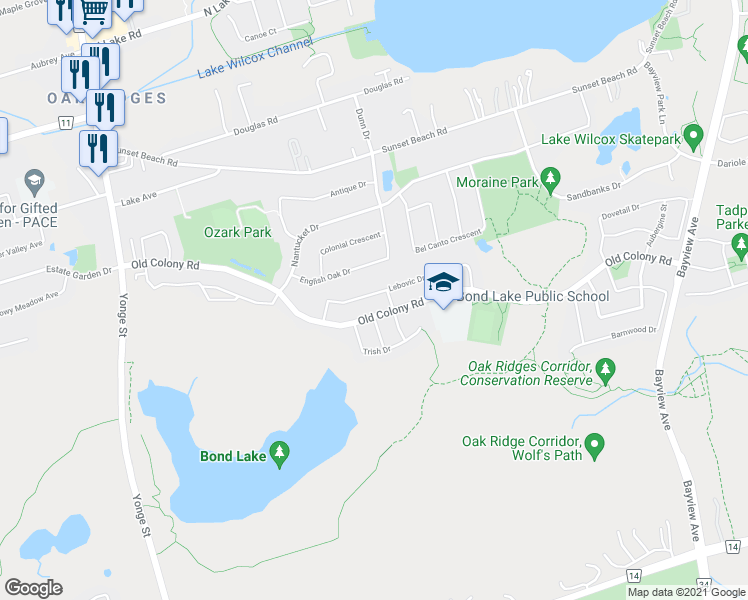 map of restaurants, bars, coffee shops, grocery stores, and more near 61 Lebovic Drive in Richmond Hill