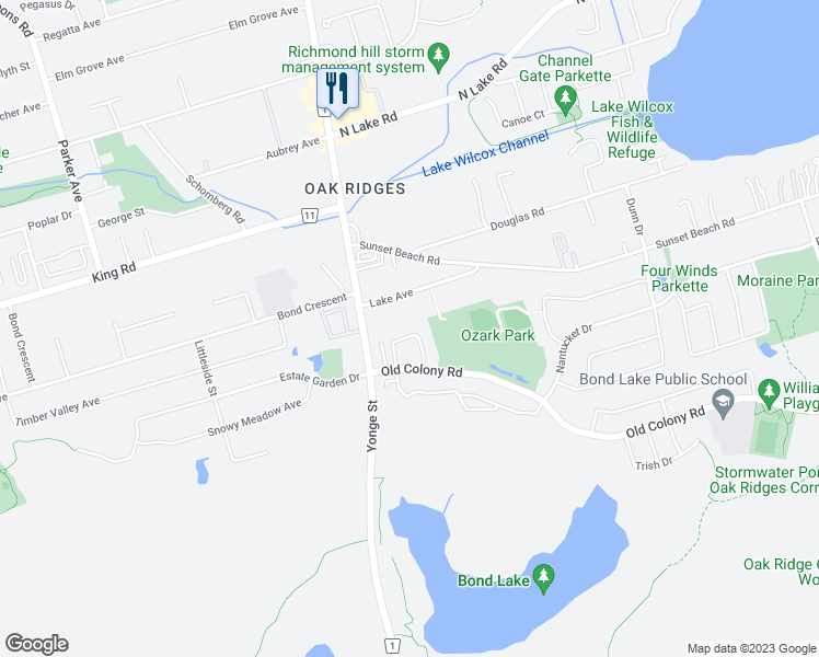 map of restaurants, bars, coffee shops, grocery stores, and more near 42 Carousel Crescent in Richmond Hill