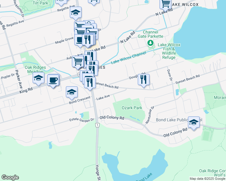 map of restaurants, bars, coffee shops, grocery stores, and more near 73 Lake Avenue in Richmond Hill