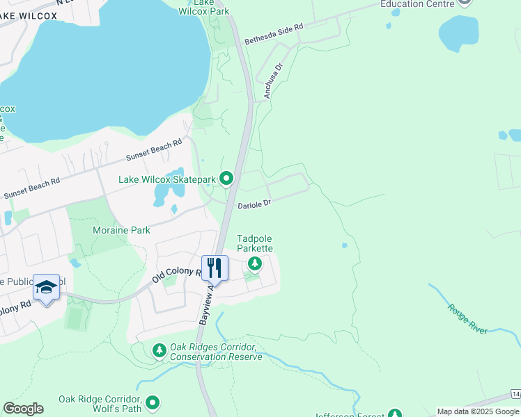 map of restaurants, bars, coffee shops, grocery stores, and more near 39 Dariole Drive in Richmond Hill
