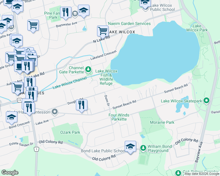 map of restaurants, bars, coffee shops, grocery stores, and more near 260 Douglas Road in Richmond Hill