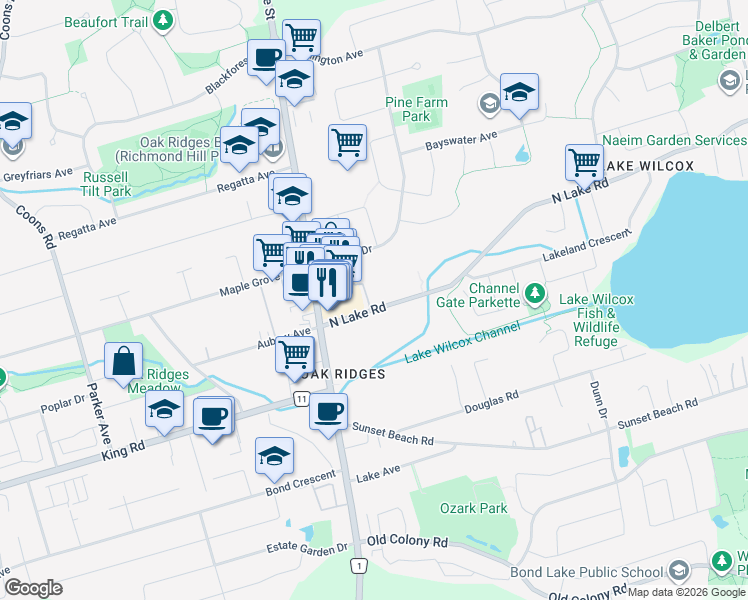 map of restaurants, bars, coffee shops, grocery stores, and more near 56 North Lake Road in Richmond Hill