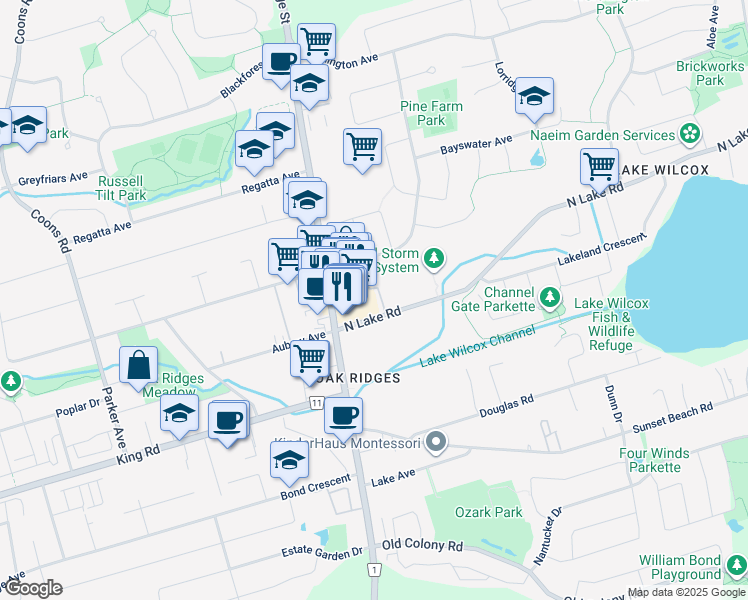 map of restaurants, bars, coffee shops, grocery stores, and more near 56 North Lake Road in Richmond Hill