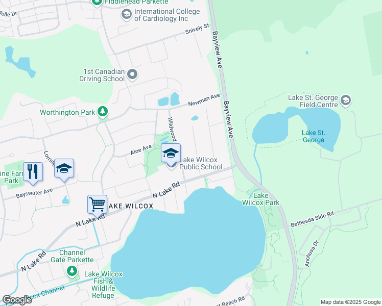 map of restaurants, bars, coffee shops, grocery stores, and more near 56 Fergus Avenue in Richmond Hill