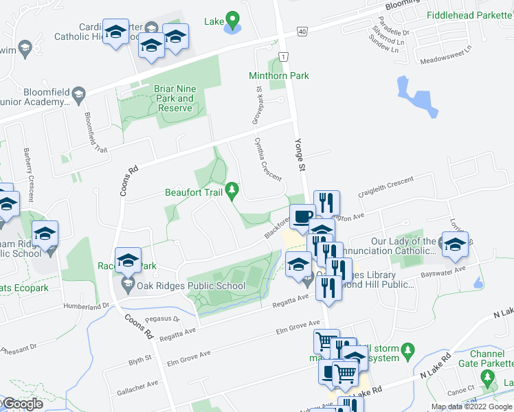 map of restaurants, bars, coffee shops, grocery stores, and more near 36 Cynthia Crescent in Richmond Hill