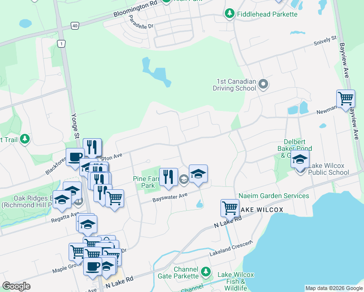 map of restaurants, bars, coffee shops, grocery stores, and more near 65 Lorridge Street in Richmond Hill
