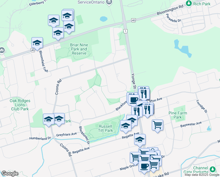 map of restaurants, bars, coffee shops, grocery stores, and more near 45 Cynthia Crescent in Richmond Hill