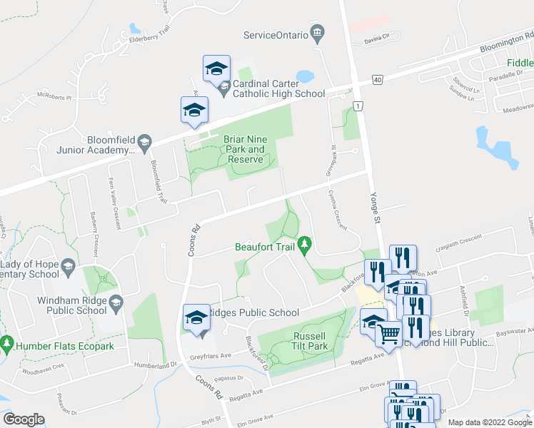 map of restaurants, bars, coffee shops, grocery stores, and more near 106 Coons Road in Richmond Hill