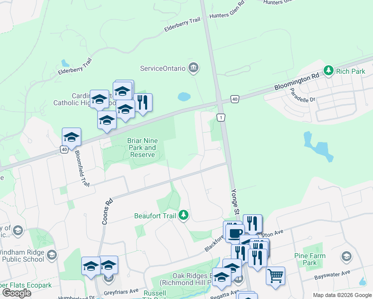 map of restaurants, bars, coffee shops, grocery stores, and more near 12 Grovepark Street in Richmond Hill