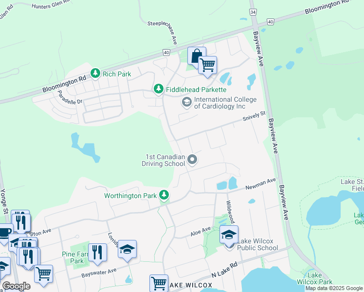 map of restaurants, bars, coffee shops, grocery stores, and more near 339 Worthington Avenue in Richmond Hill