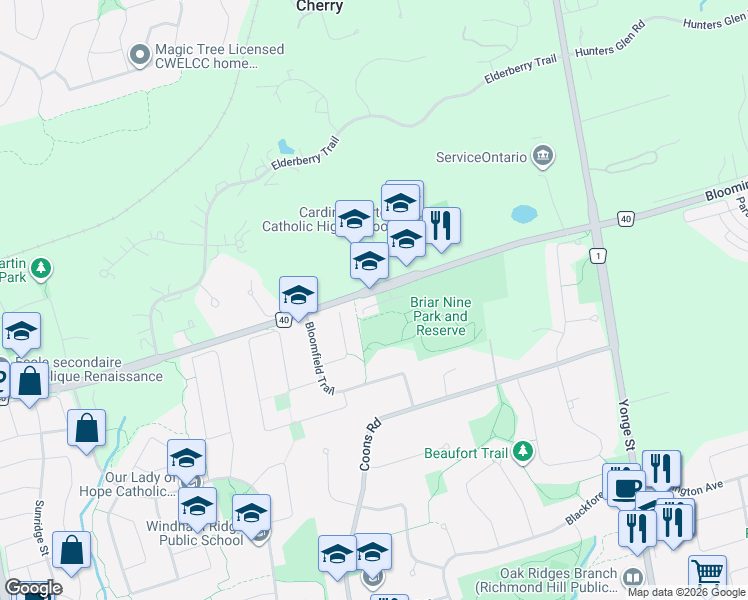 map of restaurants, bars, coffee shops, grocery stores, and more near 49 Milbourne Lane in Richmond Hill