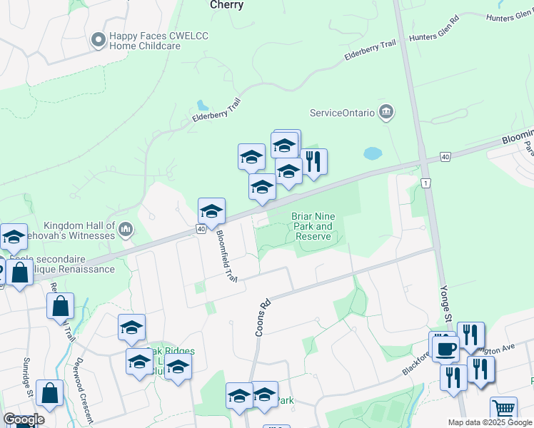 map of restaurants, bars, coffee shops, grocery stores, and more near 283 Bloomington Road in Richmond Hill