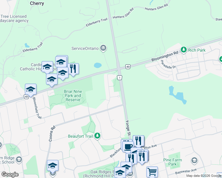 map of restaurants, bars, coffee shops, grocery stores, and more near 19 Grovepark Street in Richmond Hill