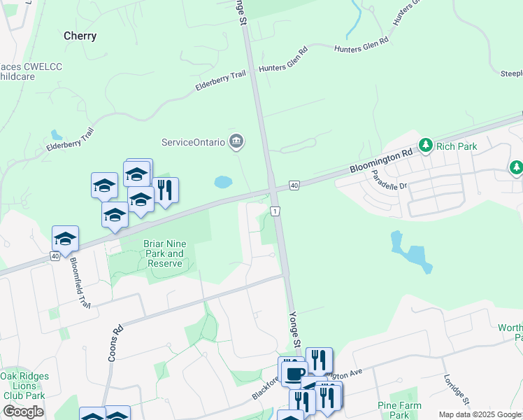 map of restaurants, bars, coffee shops, grocery stores, and more near 39 Grovepark Street in Richmond Hill