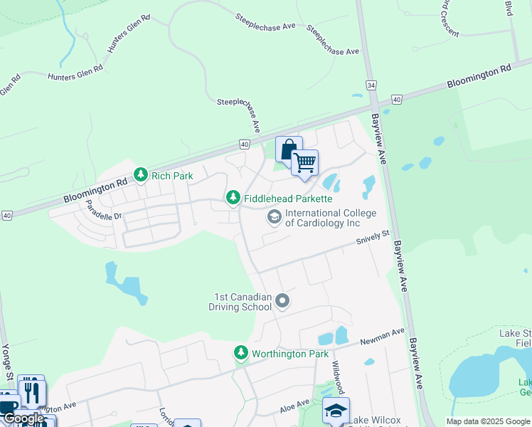 map of restaurants, bars, coffee shops, grocery stores, and more near 361 Paradelle Drive in Richmond Hill
